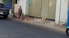 BÁN BĐS giá tốt, thích hợp đầu tư lâu dài, gần cầu vượt Mỹ Phước Tâm Vạn - Ảnh 3
