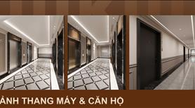 Chính chủ bán studio Paris view hồ thoáng mát tầng cao ko nắng Vinhomes Ocean Park Hà Nội TT giãn - Ảnh 12