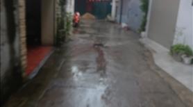 ĐÃ BÁN Bán nhà 50m2 3 tầng 3 phòng ngủ - Ảnh 2
