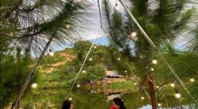 Chuyển Nhượng Resort Mini Mặt Hồ Tại Ba vì - Hà Nội - Ảnh 15