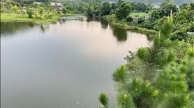 Chuyển Nhượng Resort Mini Mặt Hồ Tại Ba vì - Hà Nội - Ảnh 6