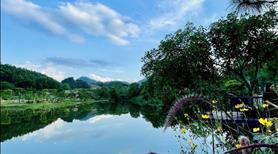 Chuyển Nhượng Resort Mini Mặt Hồ Tại Ba vì - Hà Nội - Ảnh 8