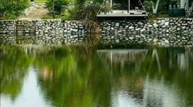 Chuyển Nhượng Resort Mini Mặt Hồ Tại Ba vì - Hà Nội - Ảnh 18