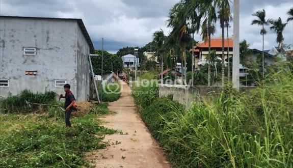 Bán đất thổ cư giá rẻ đầu tư, gần sân bay Liên Khương, tại xã Hiệp Thạnh, Lâm Đồng. - Ảnh 1