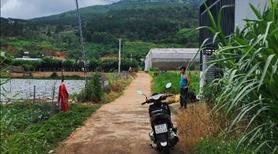 Bán đất thổ cư giá rẻ đầu tư, gần sân bay Liên Khương, tại xã Hiệp Thạnh, Lâm Đồng. - Ảnh 2