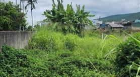 Bán đất thổ cư giá rẻ đầu tư, gần sân bay Liên Khương, tại xã Hiệp Thạnh, Lâm Đồng. - Ảnh 3