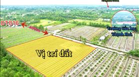 Giá tốt nhất khu vực Bến Lức – Đất đã san lấp, sổ sẵn! - Ảnh 2