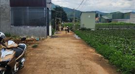 Bán đất thổ cư 142m² Hiệp Thạnh, Đức Trọng – Đường bê tông 4m, ô tô vào tận nơi, giá 1.2 tỷ - Ảnh 2