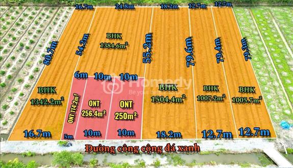 Giá tốt nhất khu vực Bến Lức – Đất đã san lấp, sổ sẵn! - Ảnh 1