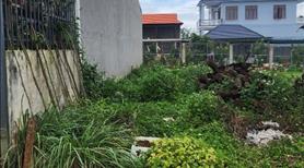Bán đất thổ cư 142m² Hiệp Thạnh, Đức Trọng – Đường bê tông 4m, ô tô vào tận nơi, giá 1.2 tỷ - Ảnh 3