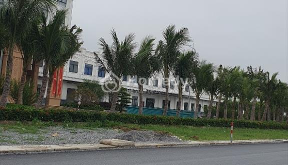 Đất nền dự án cạnh khu công nghiệp, khách sạn, cầu cảng, sân bay, khu phố đang kinh doanh mạnh mẽ - Ảnh 1