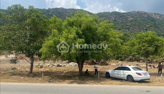 🌴 Sở hữu ĐẤT VÀNG 128m2 giữa cung đường biển Cam Ranh - DT702  - Chỉ 1,974 tỷ - Ảnh 1