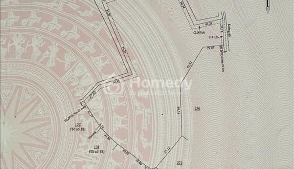 Chính chủ cần bán gấp đất ở Lộc Ninh, Bình Phước, thích hợp làm trang trại, khu nghỉ dưỡng - Ảnh 1