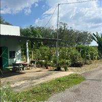 Bán gấp lô đất 400m² ngang 10 mặt tiền trải nhựa, SHR giá 510tr bao mọi chi phí