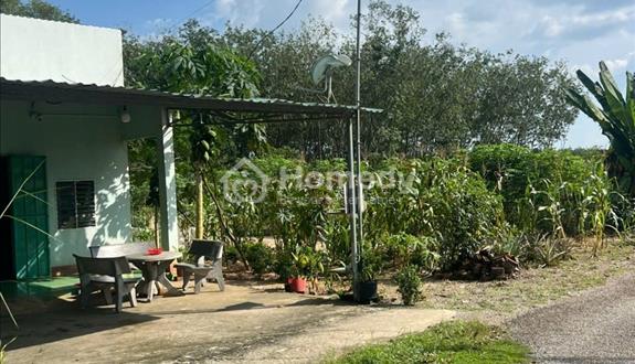 Bán gấp lô đất 400m² ngang 10 mặt tiền trải nhựa, SHR giá 510tr bao mọi chi phí - Ảnh 1