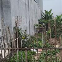 Đất bãi huyện Vân Tra An Đồng An Dương Hải Phòng