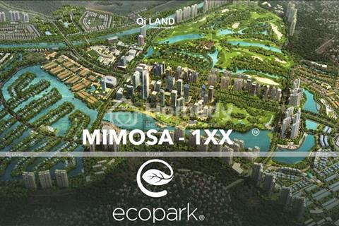 Chính chủ chuyển nhượng căn biệt thự góc tại khu Mimosa Valley - Ecopark - Văn Giang - Hưng Yên