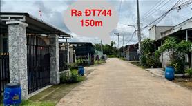 Đất thổ cư 15x28 vuông vứt Bến Cát (Tây Nam-HCM) bán gấp - Ảnh 4