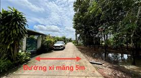 Đất thổ cư 15x28 vuông vứt Bến Cát (Tây Nam-HCM) bán gấp - Ảnh 2