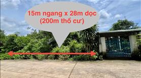 Đất thổ cư 15x28 vuông vứt Bến Cát (Tây Nam-HCM) bán gấp - Ảnh 3