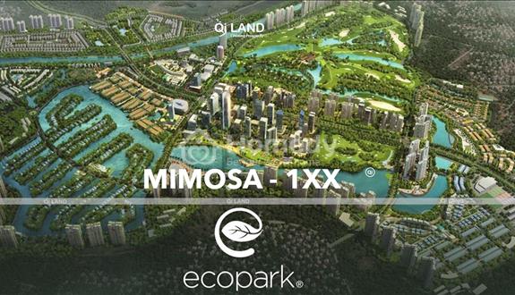 Chính chủ bán biệt thự Mimosa 1XX khu đô thị Ecopark Hưng Yên  - Ảnh 1
