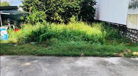 5x21(108m2) Hẻm Lý Thường Kiệt Tân An LaGi Giá 900 Triệu - Ảnh 4