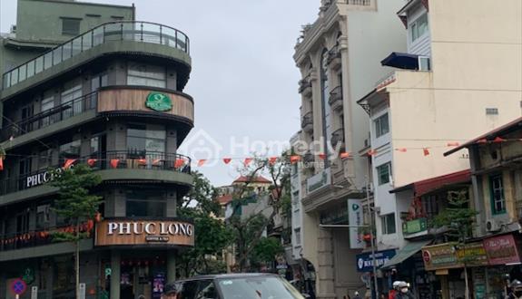 Bán đất phố Hai Bà Trưng, Hoàn Kiếm 95m2, MT 6m, giá 16 tỷ. - Ảnh 1