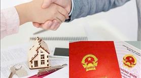 Đất Nền Biển Quất Lâm-Cạnh Flamingo- Giá chỉ từ 2 tỷ- Sổ đổ Full cư - Ảnh 3
