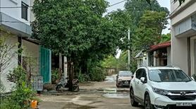 Nhà khung bê tông chắc đẹp, mới sơn sửa lại, lắp mới các thiết bị, 03 ngủ, 2 VS, 1 phòng thờ, 01 pK - Ảnh 4