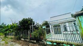 Định cư sang úc cần sang lại nhà vườn (4690m2) thổ cư shr cạnh chợ ủy ban dân cư đông giá 600 triệu - Ảnh 2