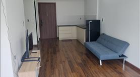 Chính chủ cho thuê dài hạn căn hộ 51m2 - Ảnh 11