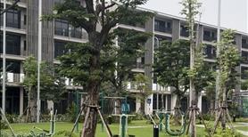 Biệt thự liền kề ven biển Hạ Long DT 84,5m2, MT 6,5m giá đang rất rẻ chỉ 12tỷ/căn. - Ảnh 2