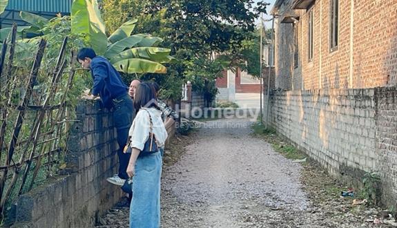 🔥 245m² FULL THỔ CƯ – CHƯA TỚI 1,5ty 📍 Lương Sơn – Hòa Bình - Ảnh 1
