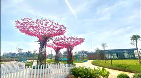 Đất nền Ngã Tư Dầu Giây mặt tiền QL1, Kề TTHC và Chợ đầu mối - Tiêu điểm giao thương quan trọng - Ảnh 4