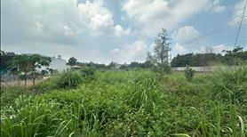 Bán đất mặt tiền Nguyễn Thế Toàn - Giá tốt, Sổ riêng - Ảnh 9