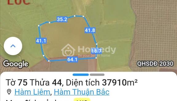 Bán đất lúa gần 4 sào 130tr/sào cách khu dân cư 150m thích hợp làm nhà vườn, nông trại, dưỡng già - Ảnh 1