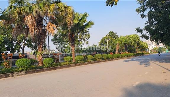 cho thuê nhà liền kề Khu đô thị FOSESA xuân phương - Ảnh 1