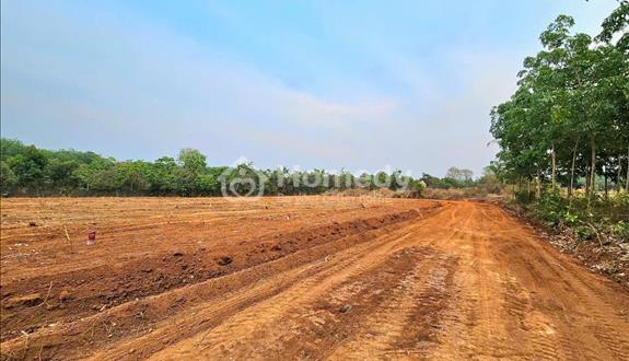 148 Triệu/Lô - Bán Gấp Lô Đất 200m2 - Đất Đường Nhựa 6M Lộc Ninh - Ảnh 1
