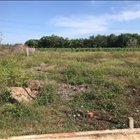 🌅 Chỉ 579 triệu - 100m² thổ cư tại Gia Tân 2 - Gần Đức Mẹ Núi Cúi