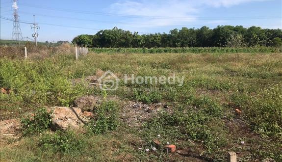 🌅 Chỉ 579 triệu - 100m² thổ cư tại Gia Tân 2 - Gần Đức Mẹ Núi Cúi - Ảnh 1
