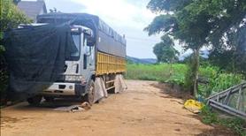 Bán đất thổ cư giá rẻ, chính chủ bán gấp, gần chợ, trường học, nhà thờ, sân bay Liên Khương - Ảnh 2