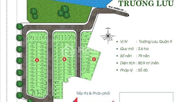 Chính chủ cần bán lô đất đường 13m KDC Trường Lưu_ Quận 9, dt 80m2 (5×16m) . - Ảnh 1
