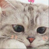 0598_Lê Hoàng Quốc Đại