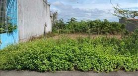 Bán đất thổ cư giá rẻ, chính chủ, gần sân bay Liên Khương, khu công nghiệp xã Đức Trọng, Lâm Đồng - Ảnh 6