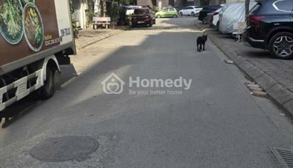 Biệt thự Mễ Trì  , hàng hiếm KDT - Ảnh 1