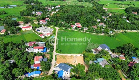 Mình chính chủ cần bán gấp 123.9m full thổ cư tại Lương Sơn giá chỉ hơn 500triệu - Ảnh 1