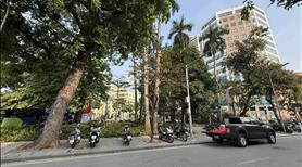 Bán Nhà Thợ Nhuộm - Hoàn Kiếm,38M - 5 Tầng - Full Nội Thất - Thang Máy - 10M Ra Phố  - Ảnh 6