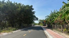12x84(1064m2) 150m2 Thổ, Lê Hồng phong Tân Thiện, LaGi Cần Bán Giá Tốt - Ảnh 6