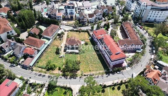 Hiếm! Đất VÀNG giữa lòng Đà Lạt cạnh KS 5 sao Mercure Dalat Resort – 3700m2 giá 60tr/m2 - Ảnh 1