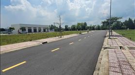 Đất đẹp giá ngộp Tân Bửu Bến Lức đường Nguyễn Hữu Trí - Ảnh 2